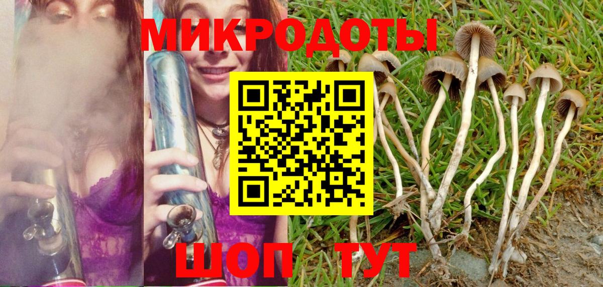 Медногорск  Псилоцибиновые грибы Cubensis  Вход с VPN 