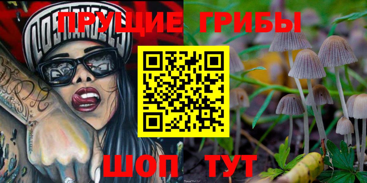 Псилоцибиновые грибы Magic Shrooms Медногорск